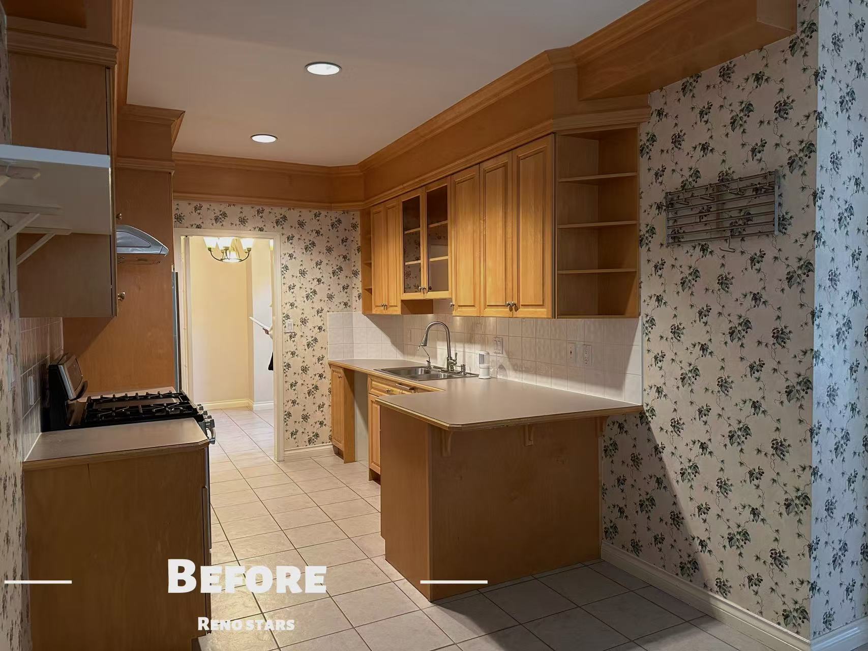 Modern Kitchen Renovation with New Cabinets and Countertops - Before Renovation 1