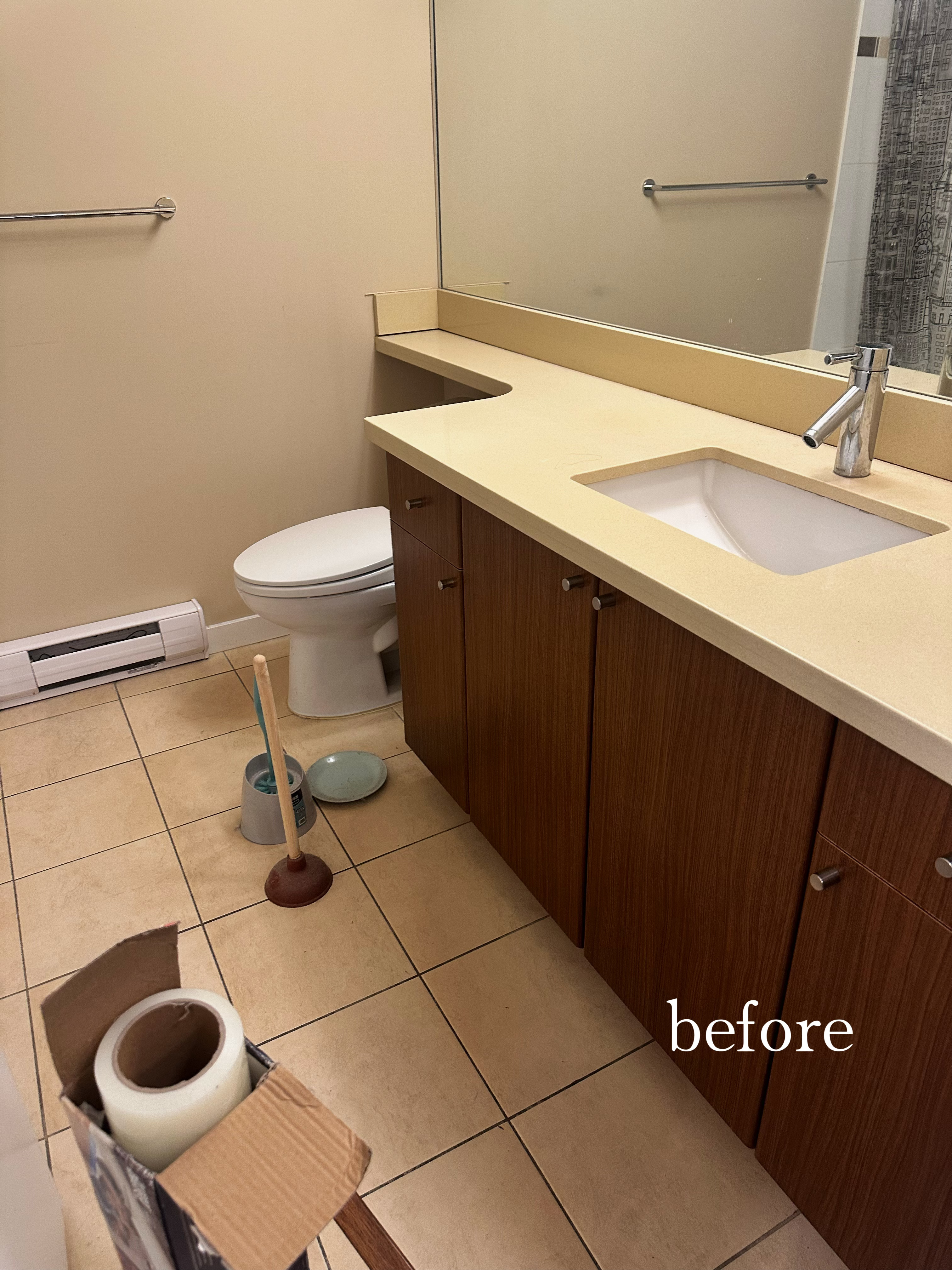 Low-Budget Condo Renovation in Richmond - Before 4